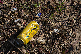 Bernhard Saalfeld - DSC01534 -1